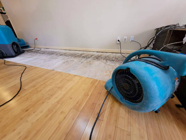 Professional Flood Damage Cleanup technician working in Ashland, MO